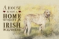 Preview: Nostalgieschild - Hundeschild im Retrostil Motiv: Irischer Wolfshund (Irish Wolfhound) #2